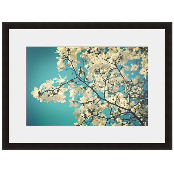 Image shown in Black Onyx frame with white mat