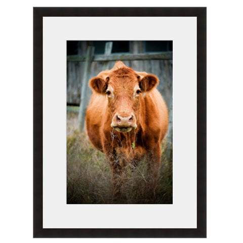 Image shown in Black Onyx frame with white mat