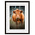 Image shown in Black Onyx frame with white mat