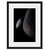Image shown in Black Onyx frame with white mat