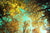Unframed Image