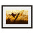 Image shown in Black Onyx frame with white mat