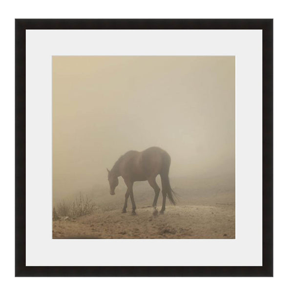 Image shown in Black Onyx frame with white mat