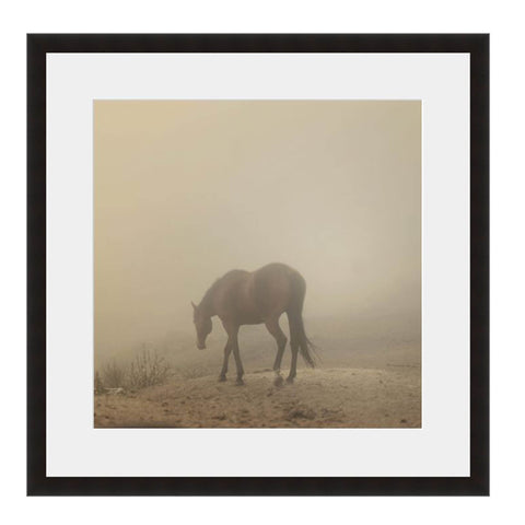 Image shown in Black Onyx frame with white mat