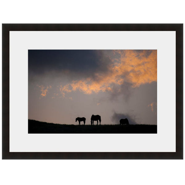 Image shown in Black Onyx frame with white mat