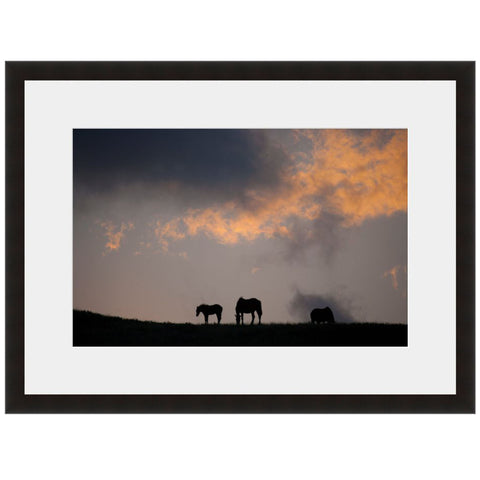 Image shown in Black Onyx frame with white mat