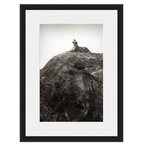 Image shown in Black Onyx frame with white mat