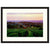 Burgundy Vineyard  - Fine Art Photograph by Andy Katz  - Framed Wall Art