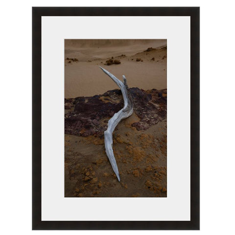 Driftwood  - Fine Art Photograph by Andy Katz  - Framed Wall Art