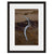 Driftwood  - Fine Art Photograph by Andy Katz  - Framed Wall Art