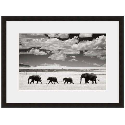 Image shown in Black Onyx frame with white mat