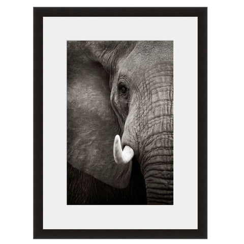 Image shown in Black Onyx frame with white mat