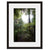 Light in the Woods  - Fine Art Photograph by Andy Katz  - Framed Wall Art