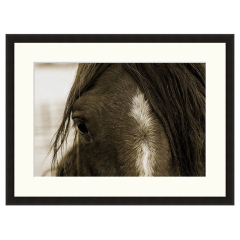Sweeter Than Wine  - Fine Art Photograph by Howard Paley  - Framed Wall Art